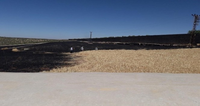 Manastıra ait 19 dönüm arpa yandı