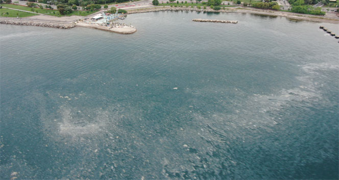 Sahilden adalara uzanan müsilaj tabakası drone ile görüntülendi