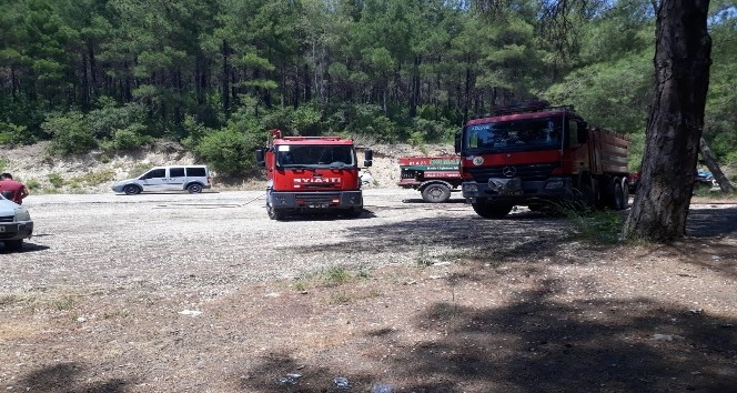 Osmaniye’de orman yangını