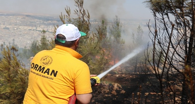 Şanlıurfa’daki orman yangını kontrol altına alındı