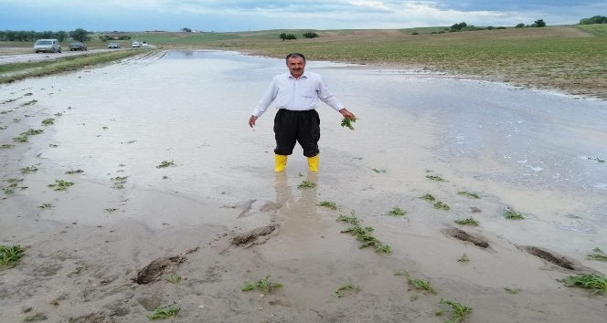 Yozgat’ta sel ekili tarım alanlarına zarar verdi