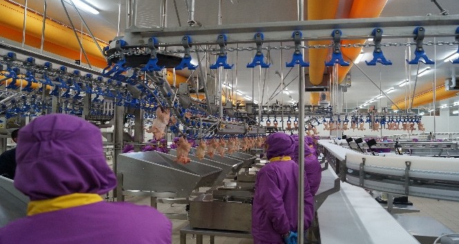 Tavuk devi 2021’de 160 milyon TL’lik yatırım plânlıyor