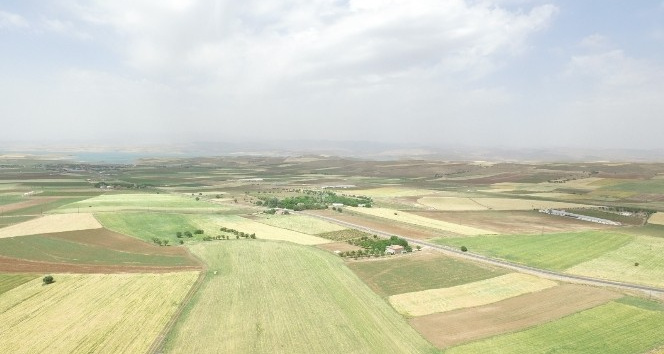 DSİ Genel Müdürü Yıldız,’ “Elazığ’da 185 bin 900 dekar tarım arazisi sulanacak&quot;