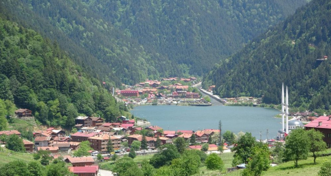 Uzungöl kıyısındaki kaçak yapıların yıkımına 15 Eylül&#039;de başlanacak