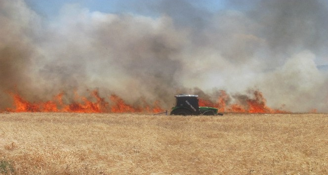 Araban’da 220 dönüm buğday tarlası yandı
