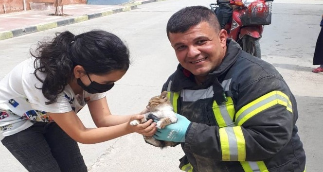 Araçta mahsur kalan yavru kedi kurtarıldı