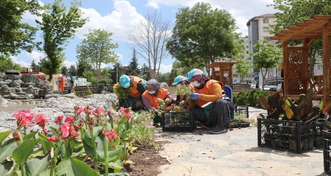 Park ve yeşil alanlara yaz bakımı yapılıyor