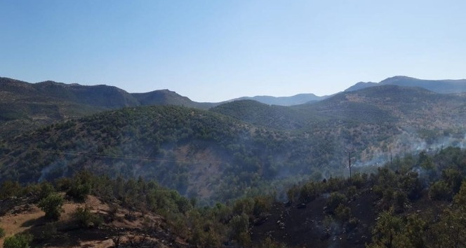 Dargeçit’te ormanlık alanda yangın