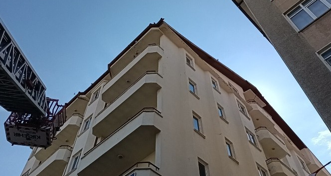 Çatıya sıkışan kargayı itfaiye kurtardı