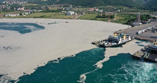 Yalova’da 169 metreküp müsilaj denizlerden temizlendi