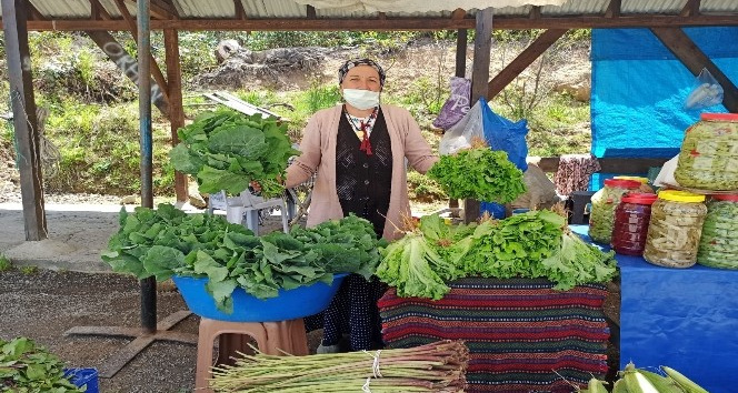 Yaylada yöresel organik pazar açıldı
