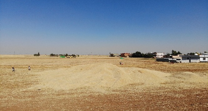 Buğdaydan istediği verimi alamayan çiftçi, gözlerini samandan gelecek gelire çevirdi