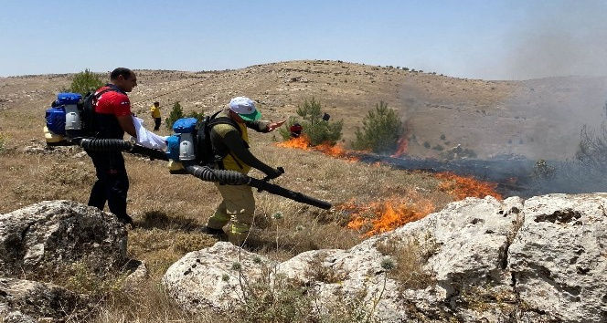 Mardin’de ağaçlık alanda yangın: 12 dönümlük alan kül oldu