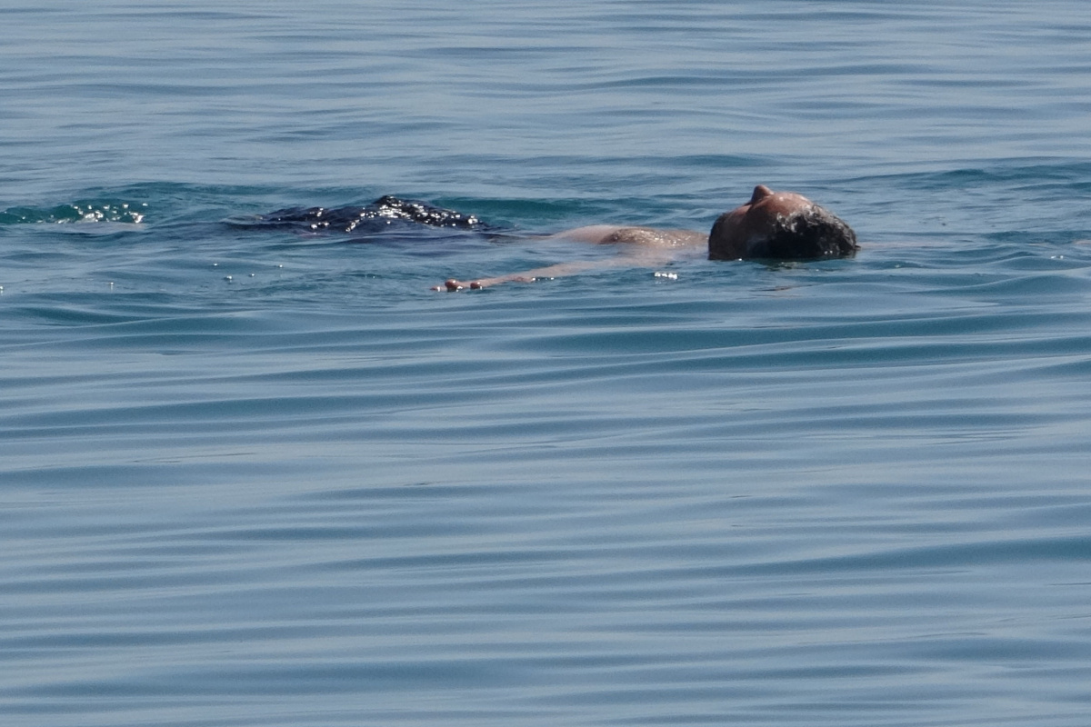 Şifa arayanların yeni adresi Van Gölü