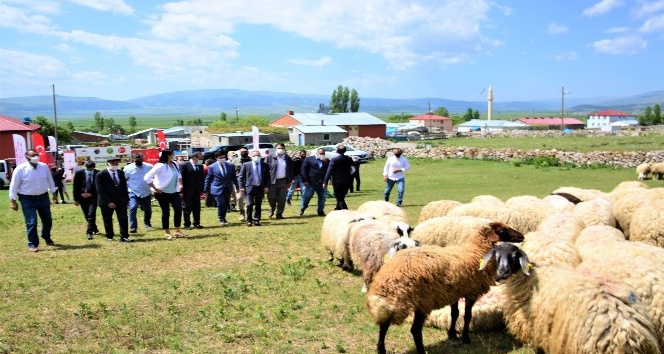 &quot;Köyümde Yaşamak İçin Bir Sürü Nedenim Var&quot; projesi kapsamında üreticilere koyun dağıtıldı