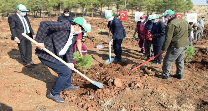 Kilis’e 17 yılda 10 milyondan fazla ağaç dikildi