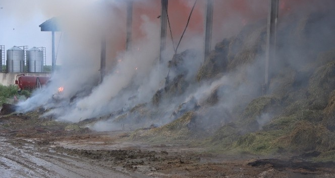 Kırklareli’nde çiftlikte çıkan yangının soğutma çalışmaları devam ediyor