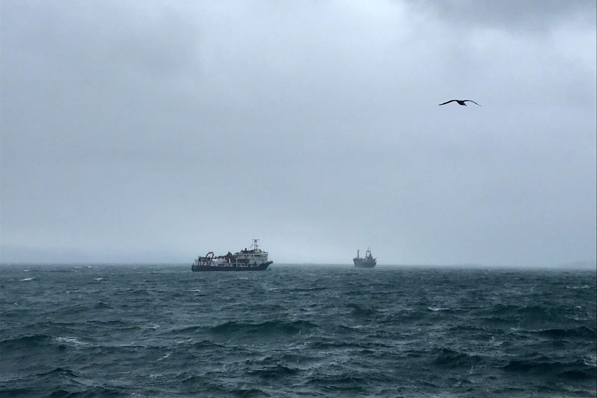 Kartal&#039;da kuvvetli rüzgar nedeniyle Panama bayraklı kargo gemisi sürüklendi