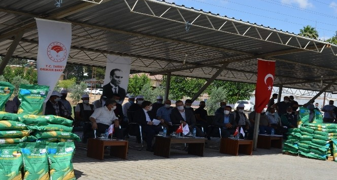 Üreticilere silajlık mısır tohumu dağıtıldı