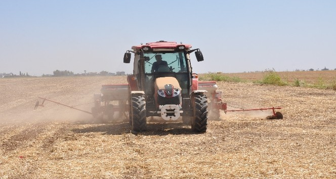 Mardin’de ikinci ürün olan mısır ekimine başlandı