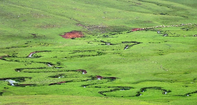 Nefesleri kesen yayla