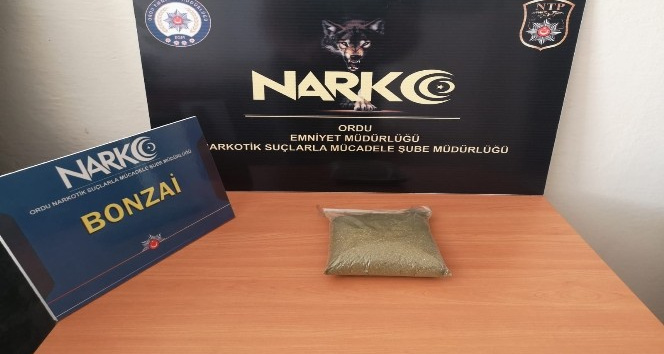 Ordu’da uyuşturucu operasyonu: 1 tutuklama