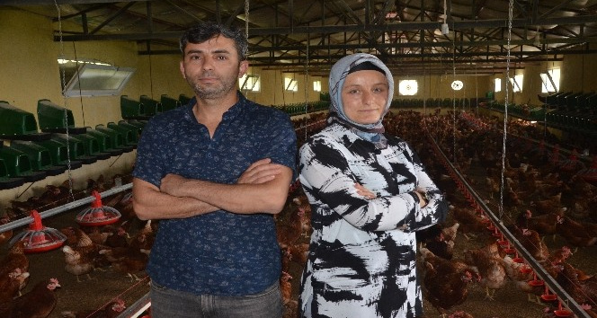 Organik yumurta üretimi yapan karı-koca, ihracata başladı
