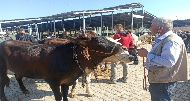 Afyon’daki kurban pazarında hareketlilik başladı