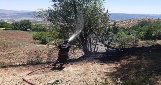 Bingöl’de örtü yangınları söndürüldü