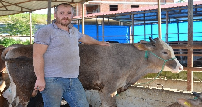 Ordu’da ilk kurbanlıklar pazara indi