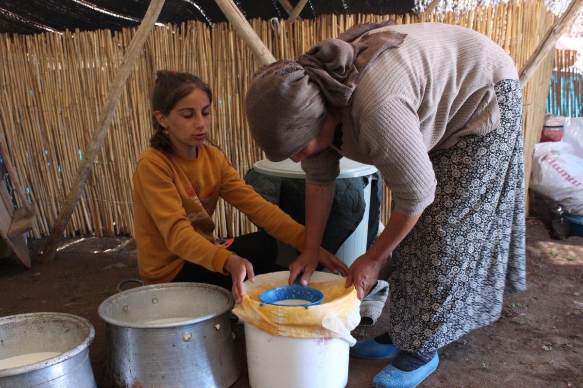 Zorlu yayla hayatı minik Zehra’nın eğitim aşkına engel olmuyor