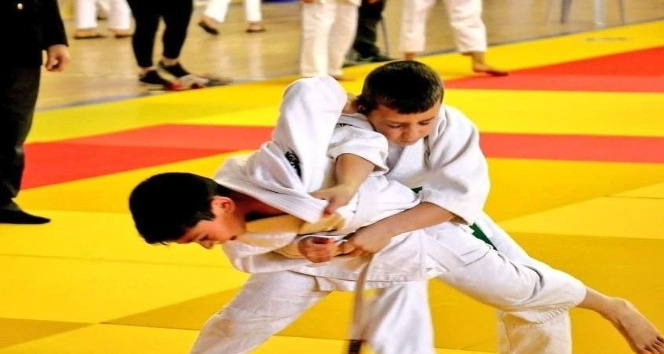 Sivas’ta “judo ortak çalışma kampı” düzenlenecek