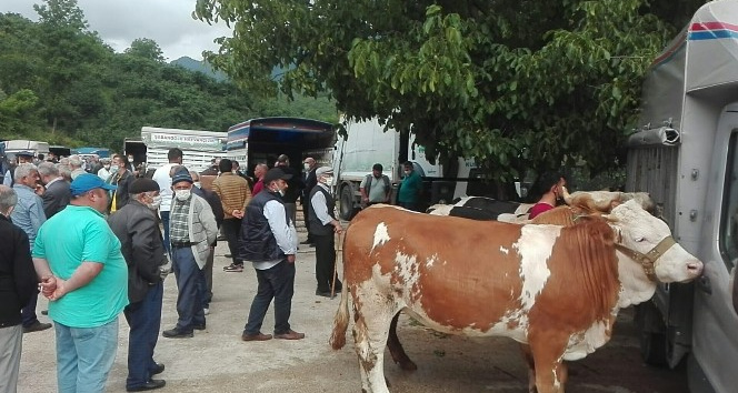 Kumru’da kurbanlıklar pazara indi