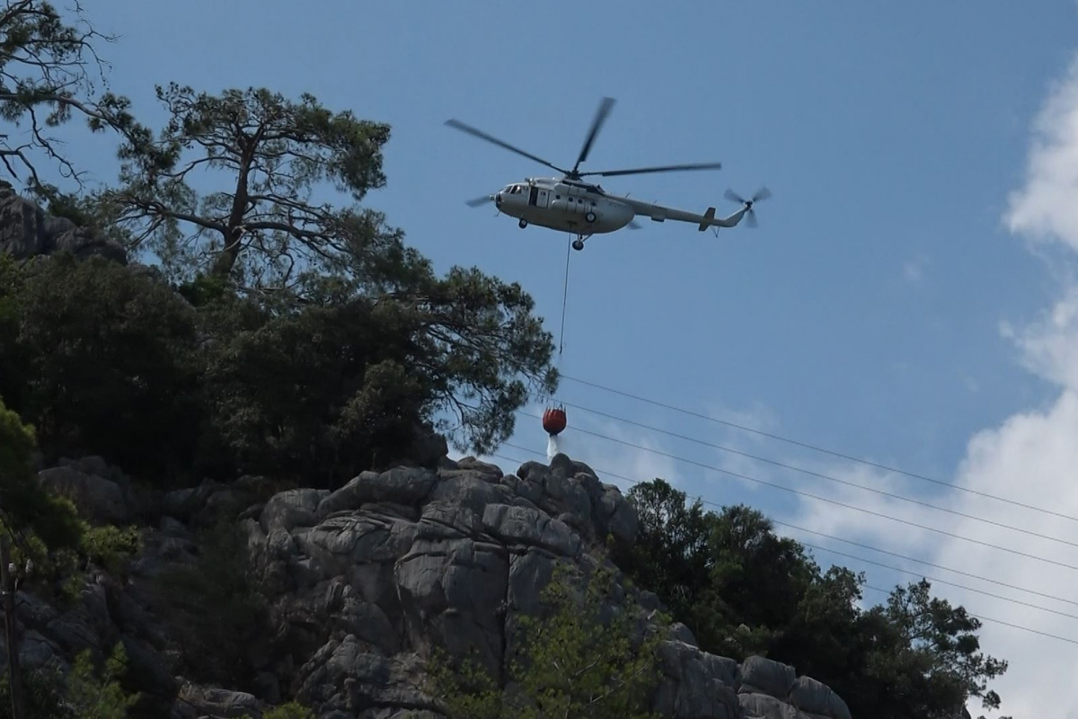Antalya&#039;da çıkan orman yangınında 1 dekarlık alan zarar gördü