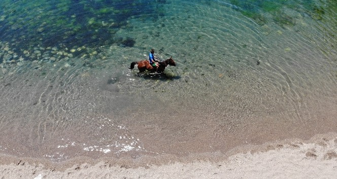 Bunaltıcı sıcakta yarış atıyla denizin tadını çıkarttı