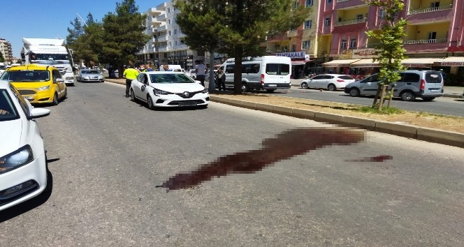 Mardin’de kaza: 3 kız çocuğu yaralandı
