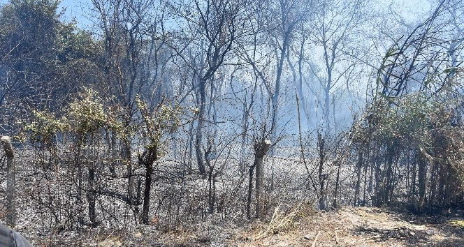 Dalaman’da cezaevi çevresi ve TİGEM arazilerinde yangın (2)