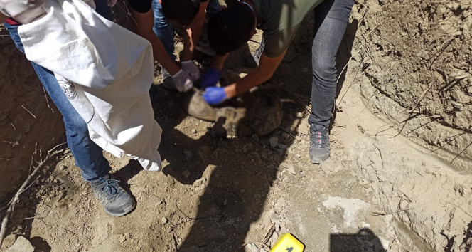 PKK içinde infazlar sürüyor