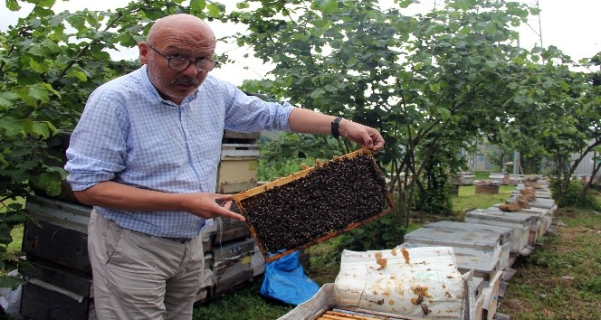 Türkiye bal rekoltesinde düşüş beklentisi