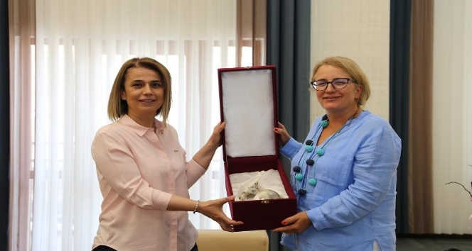 Türkiye’nin Tiflis Büyükelçisi Yazgan, Vali Becel’i ziyaret etti