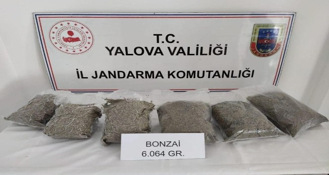 Jandarma narkotik köpeği uyuşturucuyu böyle buldu