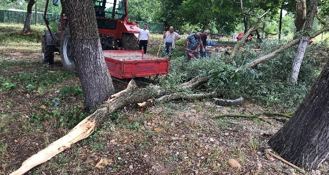 Fırtına ağaçları devirdi, enerji nakil hatları kopunca yangın çıktı