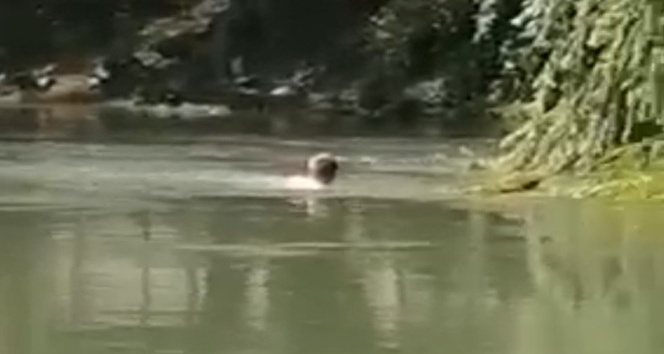 Kızılırmak’ta sürüklenen şahıs boğulmaktan son anda kurtarıldı, o anlar kamerada