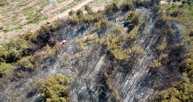 Osmaniye’de çıkan orman yangını evlere sıçramadan söndürüldü
