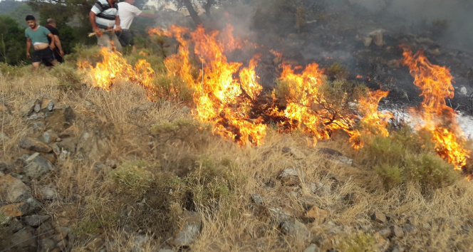 Fethiyedeki orman yangını büyümeden söndürüldü