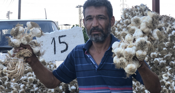 Sarımsakta üretim arttı fiyat düştü