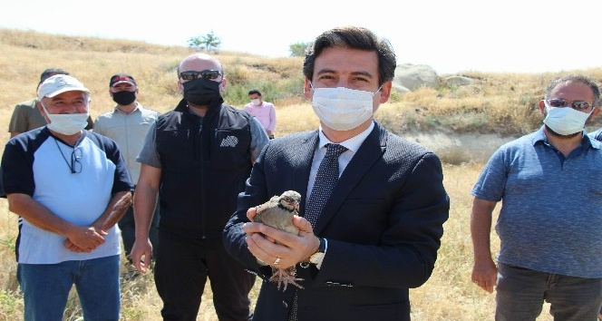 Kapadokya’da vadilere 850 adet keklik salındı