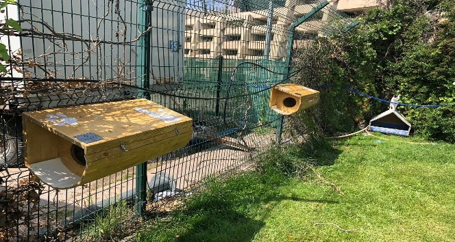 Gazi Üniversitesi öğrencilerinden can dostlara yuva