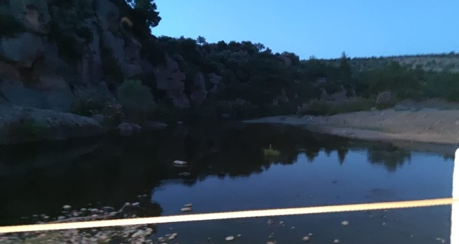 Koyunlarını yıkamak için girdiği gölette boğuldu