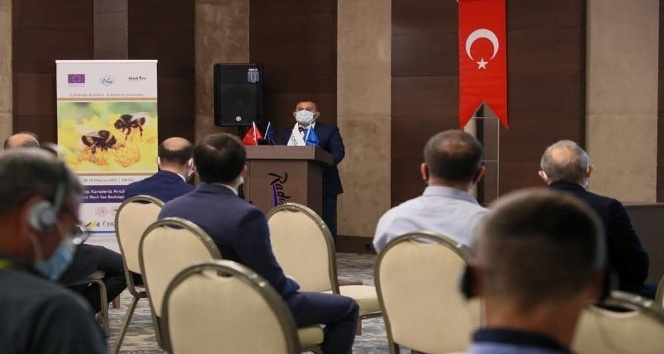 5 ülkeden arıcılık iş birliği